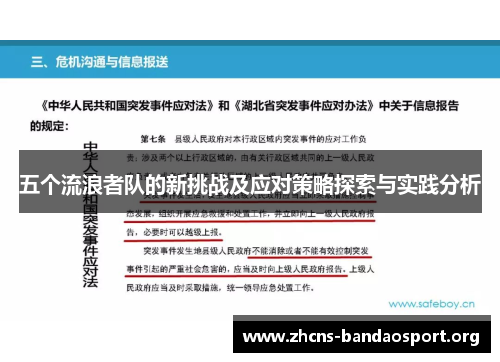 五个流浪者队的新挑战及应对策略探索与实践分析