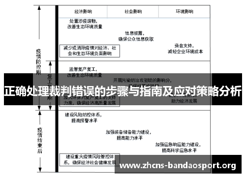 正确处理裁判错误的步骤与指南及应对策略分析