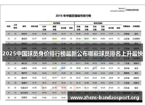 2025中国球员身价排行榜最新公布哪些球员排名上升最快