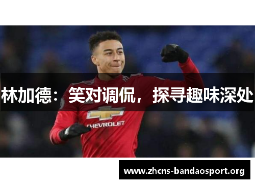 林加德:笑对调侃,探寻趣味深处 林加德:笑对调侃,探寻趣味深处