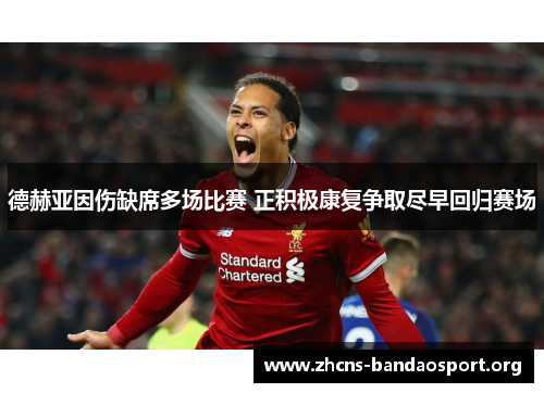 德赫亚因伤缺席多场比赛 正积极康复争取尽早回归赛场 德赫亚因伤缺席多场比赛 正积极康复争取尽早回归赛场