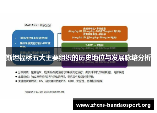 斯坦福桥五大主要组织的历史地位与发展脉络分析